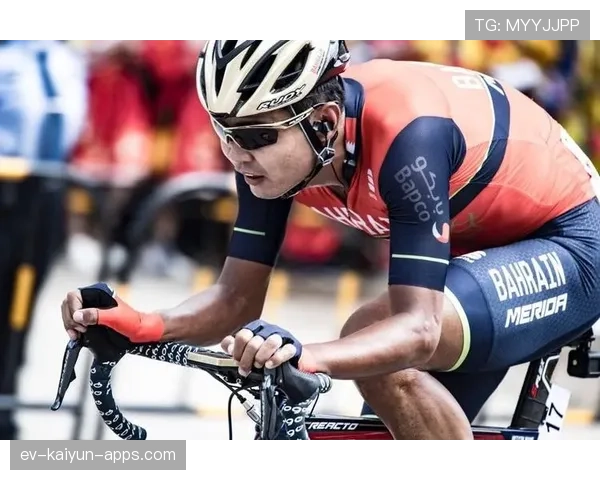 关注职业运动员转型路径的全周期内容平台,运动员职业化